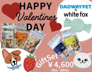 DADWAY × whitefox初コラボ 数量限定バレンタイン特別企画！ HAPPY バレンタイン ギフトセット