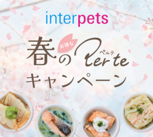 per te(ペルテ)がお得に買えるキャンペーンのお知らせ