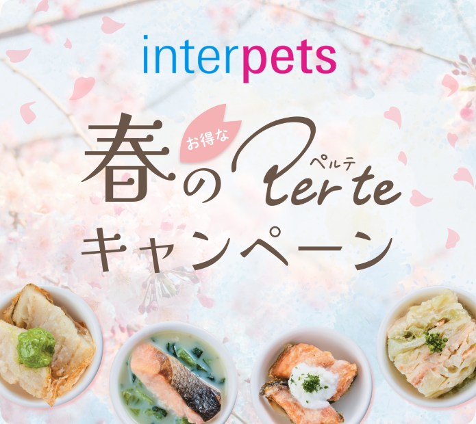 per te(ペルテ)がお得に買えるキャンペーンのお知らせ